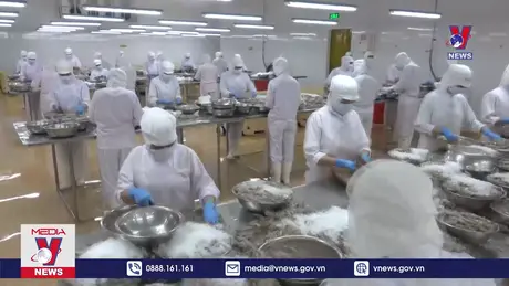 Bản tin thời sự 22h ngày 04/10/2024