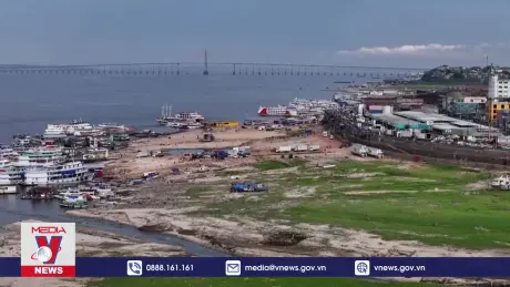 Hạn hán nghiêm trọng tại rừng Amazon