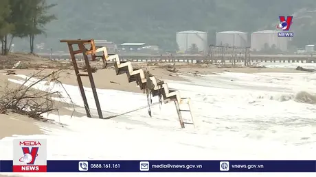 Bản tin thời sự 8h ngày 06/10/2024