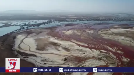 Bolivia nỗ lực làm sạch nơi sinh sống của hồng hạc