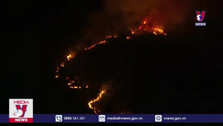 Nỗ lực dập tắt đám cháy rừng tại Hải Dương