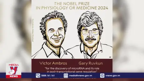 Giải Nobel Y sinh 2024 vinh danh phát hiện về RNA