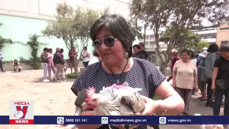 Lễ ban phước cho thú cưng ở Peru