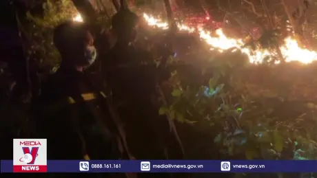 Báo động tình trạng cháy rừng tại Quảng Ninh sau bão số 3