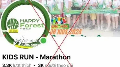 Cảnh báo chiêu lừa tiền tỷ khi đăng ký tham gia 