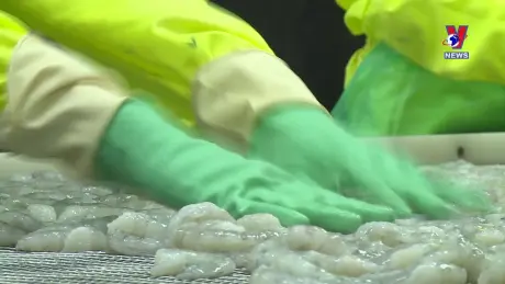 Nhật trình kinh tế ngày 08/10/2024