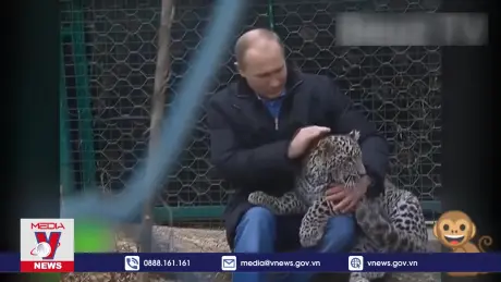 Tuổi 72 của Tổng thống Nga Vladimir Putin