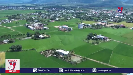 Bản tin thời sự 17h ngày 08/10/2024