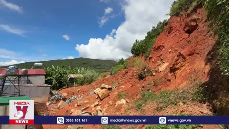 Bất an với đồi thông 35 ha có cung sạt lở dài kéo dài