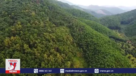 Công bố Quy hoạch lâm nghiệp quốc gia