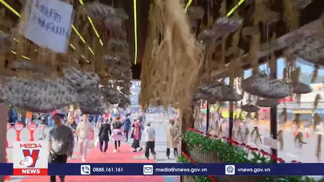 Lễ hội nhân sâm Geumsan Hàn Quốc 2024