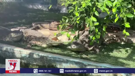 Vườn thú Somali – Không gian xanh trong xung đột