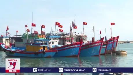 Cần có chính sách hỗ trợ chứng chỉ thuyền trưởng, máy trưởng cho ngư dân