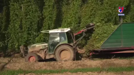 Tương Lai Xanh ngày 10/10/2024