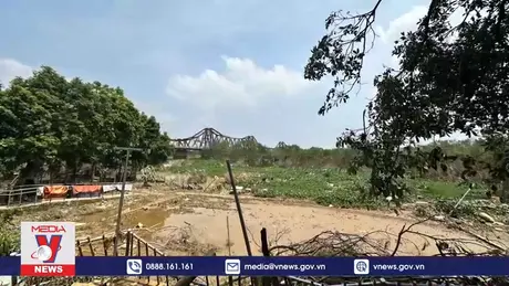 Khôi phục không gian xanh bờ vở sông Hồng