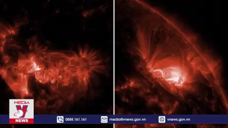 Cực quang xuất hiện tại nhiều nơi trên Trái đất