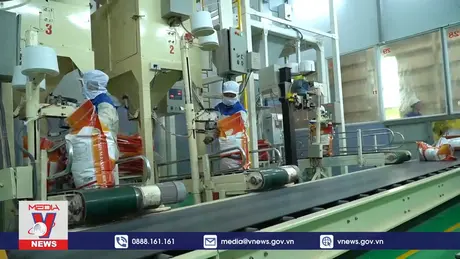 Việt Nam chủ động giữ vững đà xuất khẩu gạo