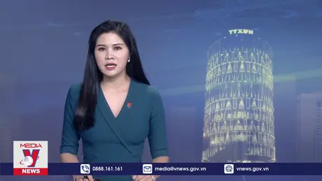 Bộ Chính trị kỷ luật tổ chức đảng, đảng viên