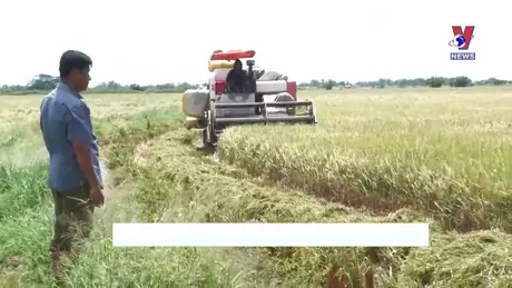 Nhật trình kinh tế ngày 11/10/2024