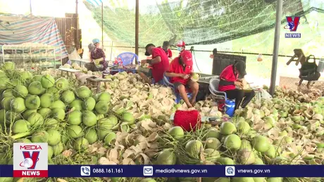 Bản tin Thời sự 21h ngày 12/10/2024