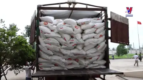 Đường dây nóng 389 ngày 12/10/2024