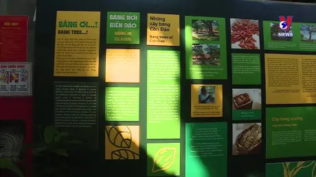 Văn hóa toàn cảnh ngày 14/10/2024