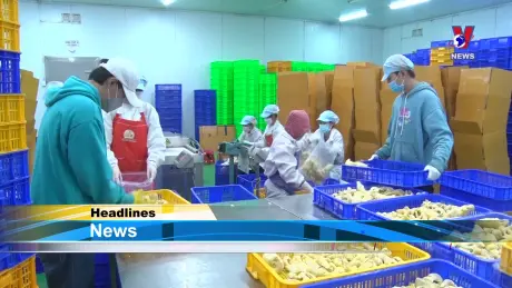 VNA News - Bản tin tiếng Anh ngày 14/10/2024