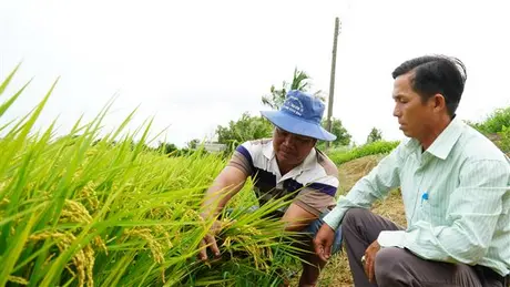 Những tỷ phú nông dân siêng năng, nhạy bén