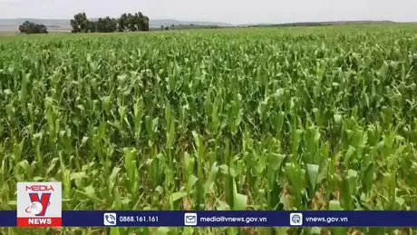 Argentina thúc đẩy hợp tác thương mại với ASEAN