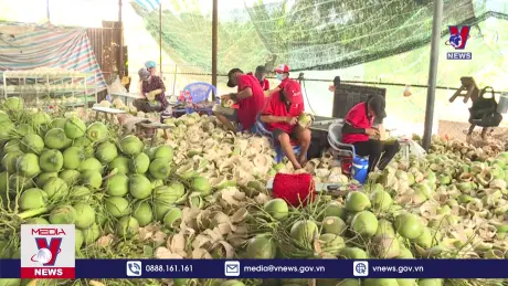 Bản tin thời sự 21h ngày 14/10/2024