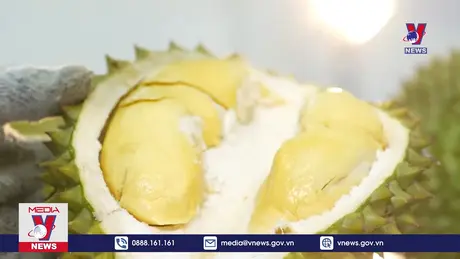 Bản tin thời sự 11h ngày 14/10/2024