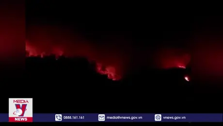 Quảng Ninh: Dập tắt đám cháy rừng trong đêm ở xã đảo Ngọc Vừng