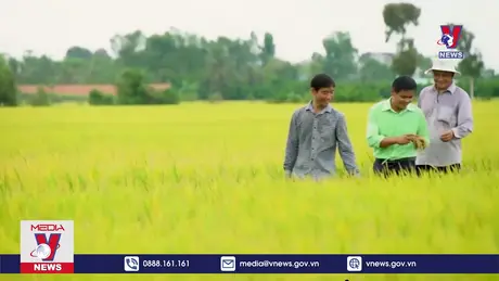 Bản tin thời sự 21h ngày 15/10/2024