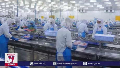 Khai thác Hiệp định CPTPP chưa như kỳ vọng