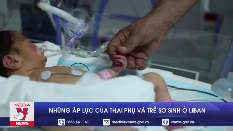 Những áp lực của thai phụ và trẻ sơ sinh ở Liban