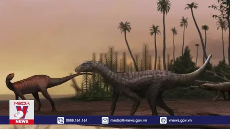 Phát hiện mở đường tìm kiếm tổ tiên loài khủng long
