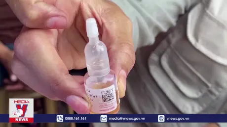 WHO tiếp tục triển khai chương trình tiêm chủng ở Gaza