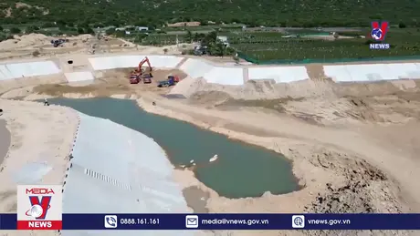 Bản tin thời sự 08h ngày 16/10/2024