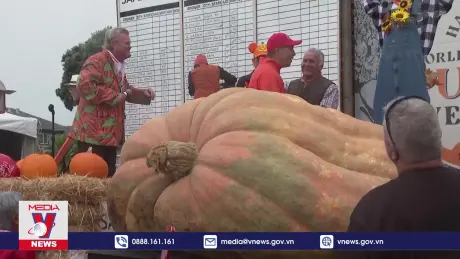 Bí ngô nặng hơn 1 tấn xác lập kỷ lục thế giới