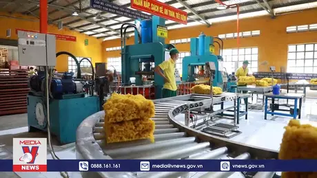 Thách thức xuất khẩu bền vững cao su