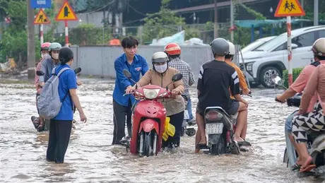 Cần Thơ đối mặt triều cường kỷ lục