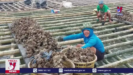 Quảng Ninh nỗ lực hỗ trợ ngư dân tái khôi phục sau bão số 3