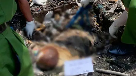 Phát hiện nhiều bộ phận thi thể người ở quán karaoke An Phú