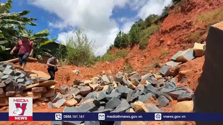 Di dời người dân ra khỏi đồi thông 35 ha có nguy cơ sạt lở