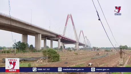 Gấp rút cải tạo vườn đào sau lũ