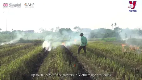 Giải pháp giảm thiểu đốt ngoài trời, sử dụng thuốc bảo vệ thực vật trong nông nghiệp - Cơ hội từ GAHP