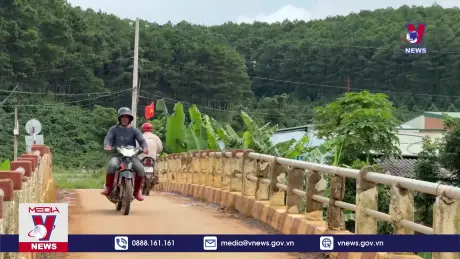 Lâm Đồng có hơn 100 cầu yếu cần sửa chữa thay thế