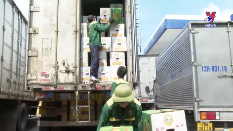 Nhật trình kinh tế ngày 17/10/2024