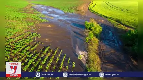 Sức khỏe đất bị suy giảm nghiêm trọng