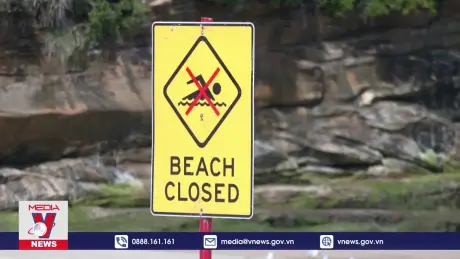 Sydney đóng cửa nhiều bãi biển do nghi ngờ chất độc hại